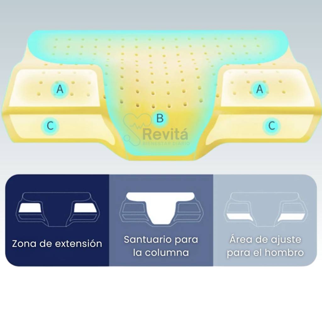 Almohada Cervical Ortopédica - OrthoDream