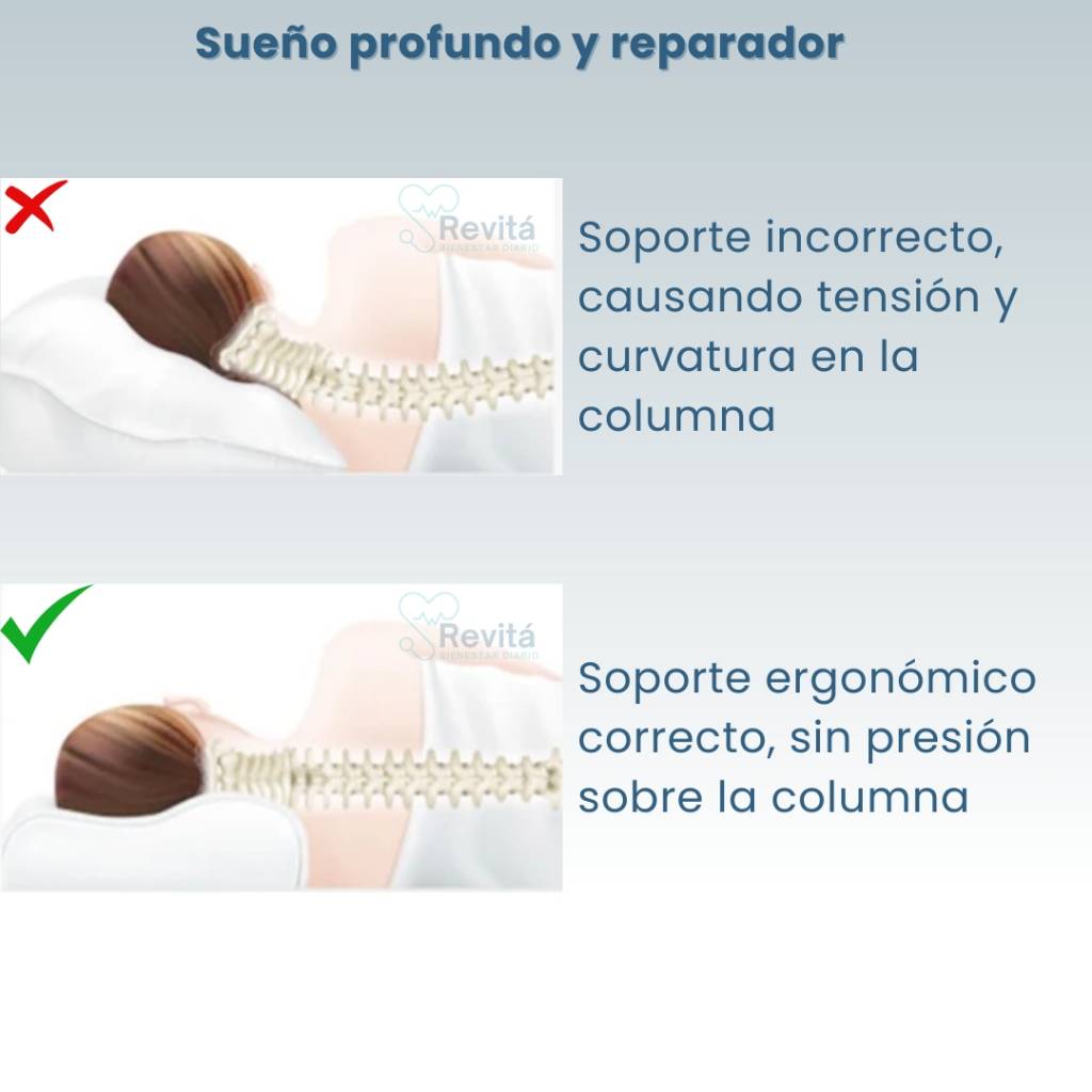 Almohada Cervical Ortopédica - OrthoDream