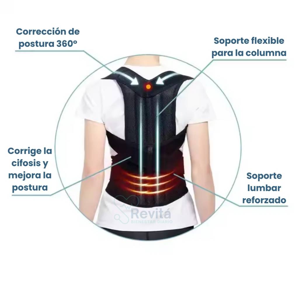 Corrector de Postura Ergonómico – Didao